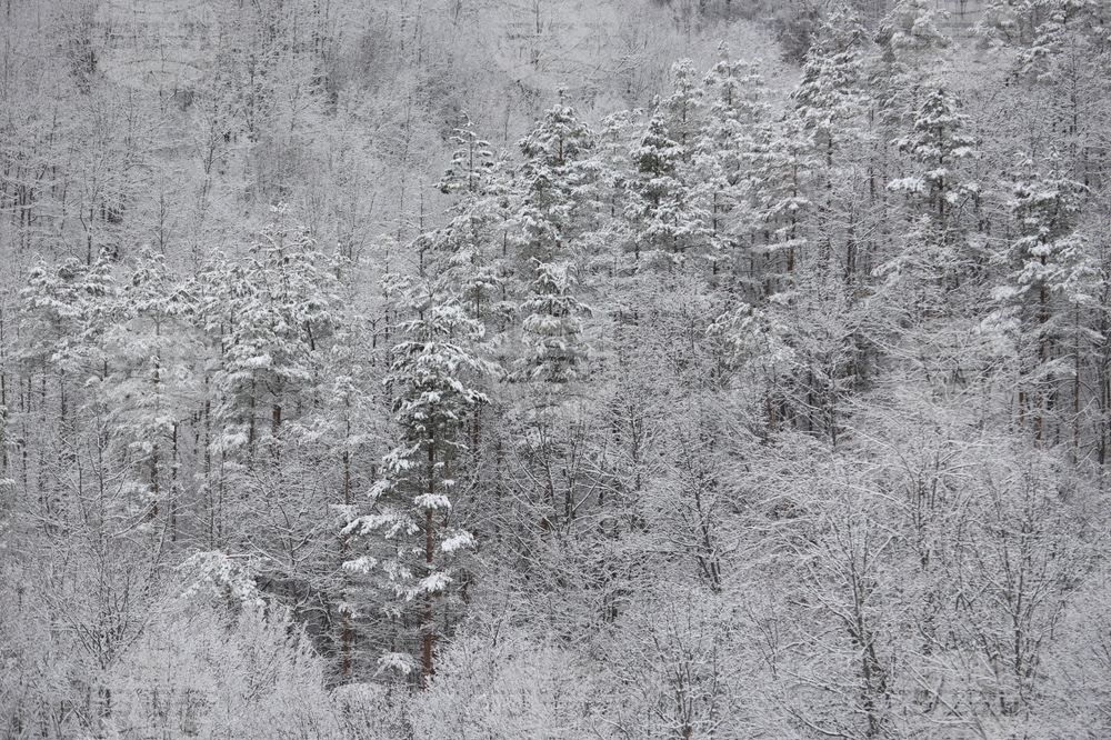 Good Mountain Hiking Conditions on Wednesday