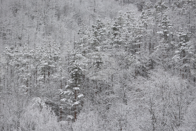 Good Mountain Hiking Conditions on Wednesday