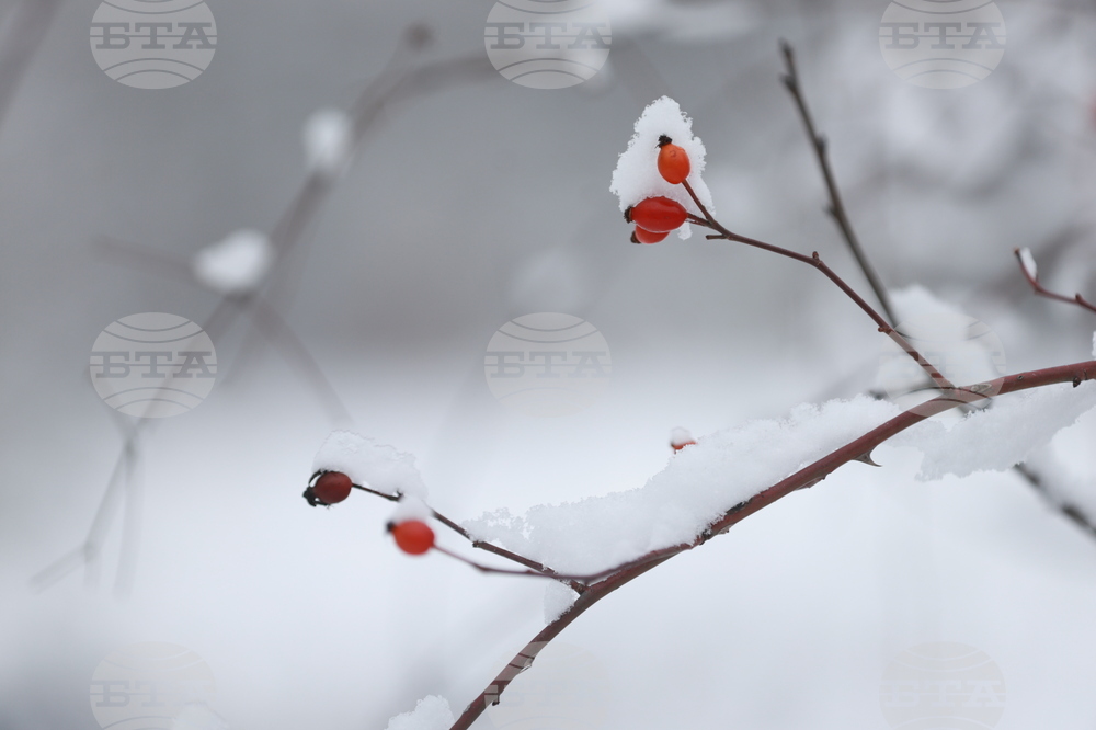 Рибарица - зима