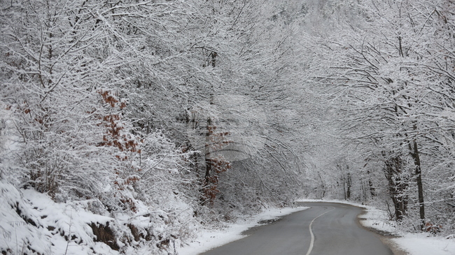 От АПИ апелират шофьорите да тръгват с автомобили, готови за зимни условия, заради очакваните снеговалежи 