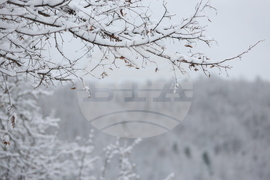 Рибарица - зима