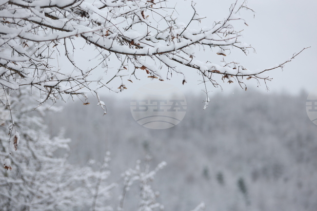 Възстановено е електрозахранването в петричкото село Долна Рибница