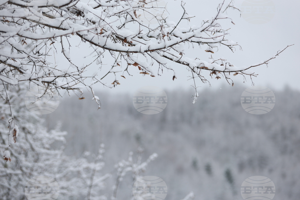 Рибарица - зима