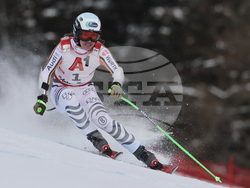 Austria Alpine Skiing World Cup