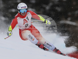 Austria Alpine Skiing World Cup