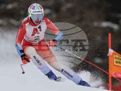 Austria Alpine Skiing World Cup