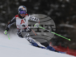 Austria Alpine Skiing World Cup