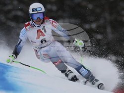 Austria Alpine Skiing World Cup