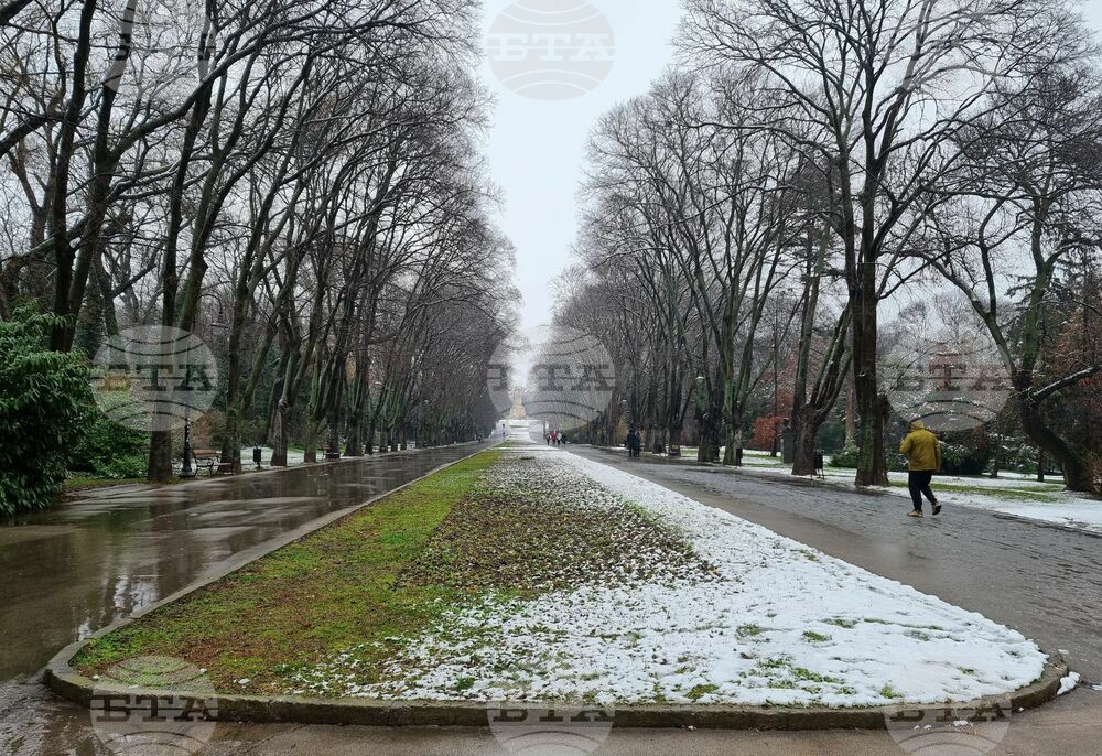 Варна - Морска градина - сняг