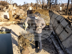 California Wildfires