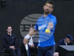 Australian Open Tennis