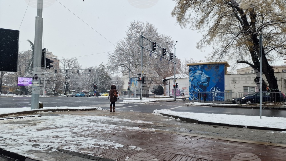 Общинско предприятие „Чистота“ обработи със сол мостовете и надлезите в Пловдив