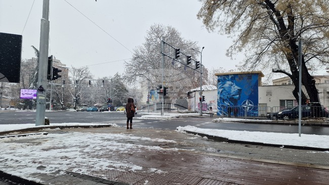 Общинско предприятие „Чистота“ обработи със сол мостовете и надлезите в Пловдив