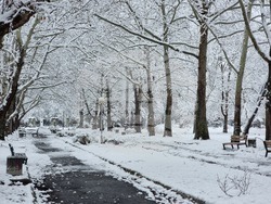 Кърджали - зима