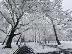 Кърджали - зима