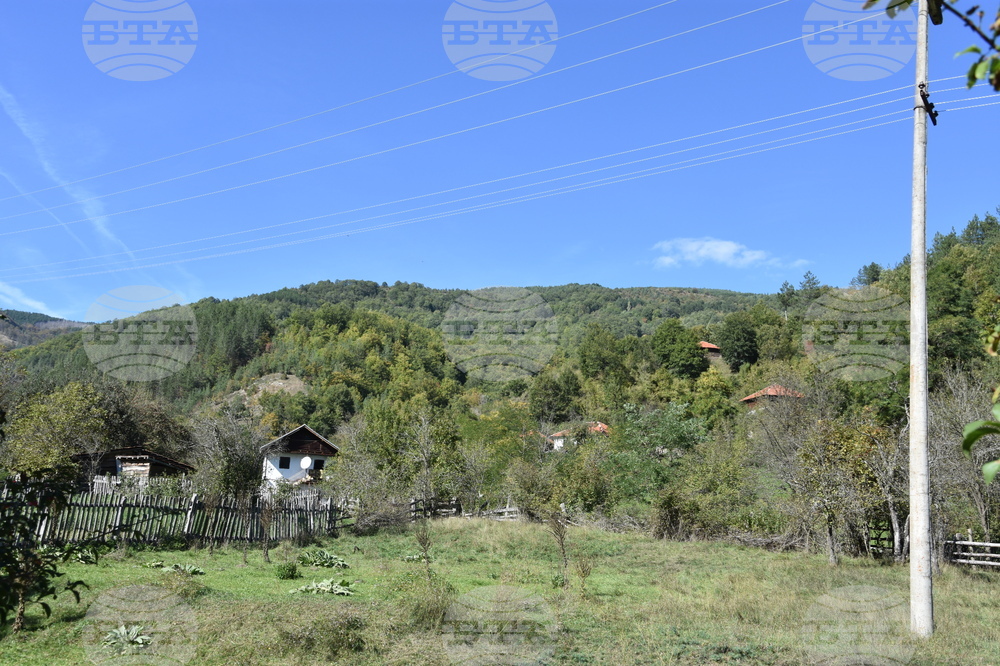 Сърбия - село Горно Тлъмино - изглед