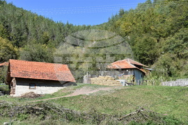 Сърбия - село Горно Тлъмино - изглед
