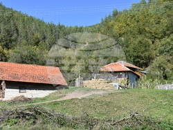 Сърбия - село Горно Тлъмино - изглед