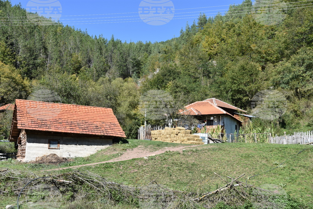 Сърбия - село Горно Тлъмино - изглед