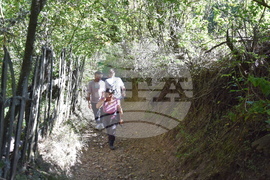 Сърбия - село Горно Тлъмино - изглед