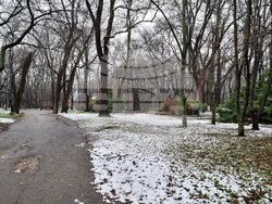 VARNA - BEACH - SNOW