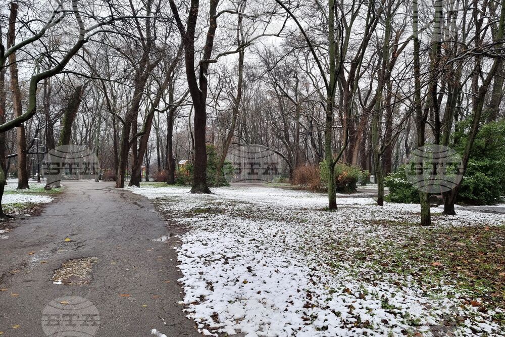 VARNA - BEACH - SNOW