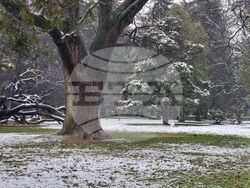 VARNA - BEACH - SNOW
