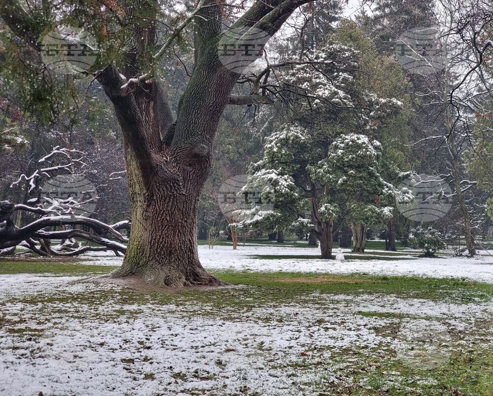 VARNA - BEACH - SNOW