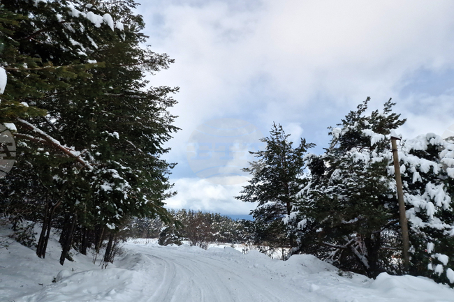 Прогноза за времето