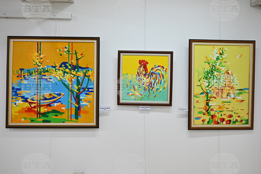 Монтана - Художествена галерия „Кирил Петров“ - изложба