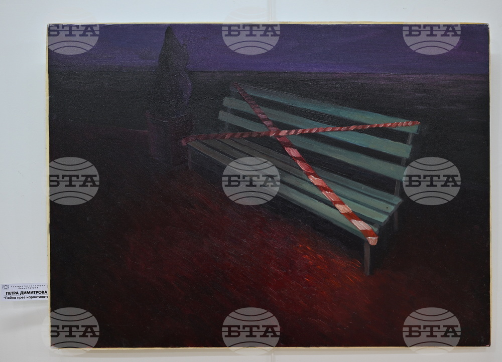 Монтана - Художествена галерия „Кирил Петров“ - изложба