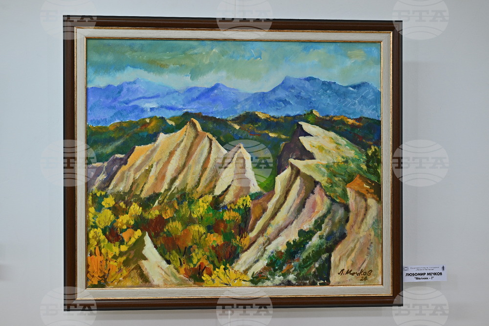 Монтана - Художествена галерия „Кирил Петров“ - изложба