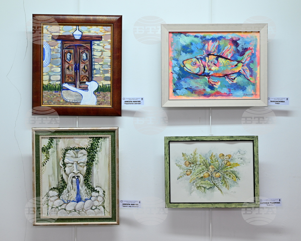 Монтана - Художествена галерия „Кирил Петров“ - изложба