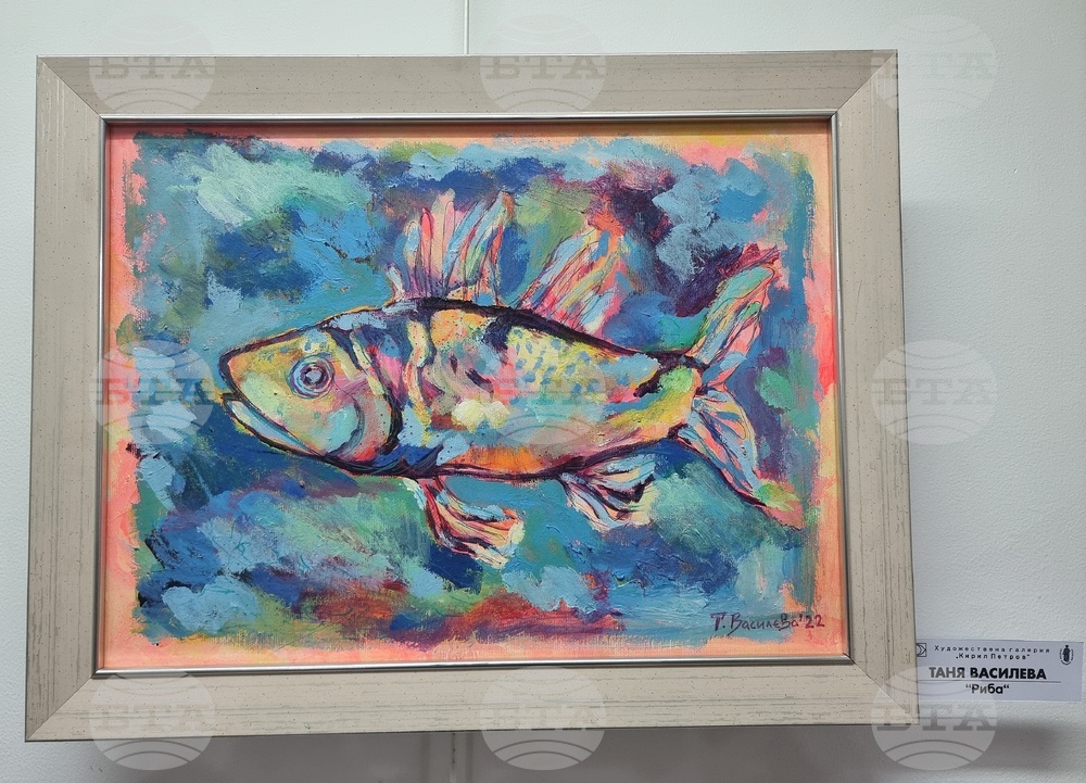 Монтана - Художествена галерия „Кирил Петров“ - изложба