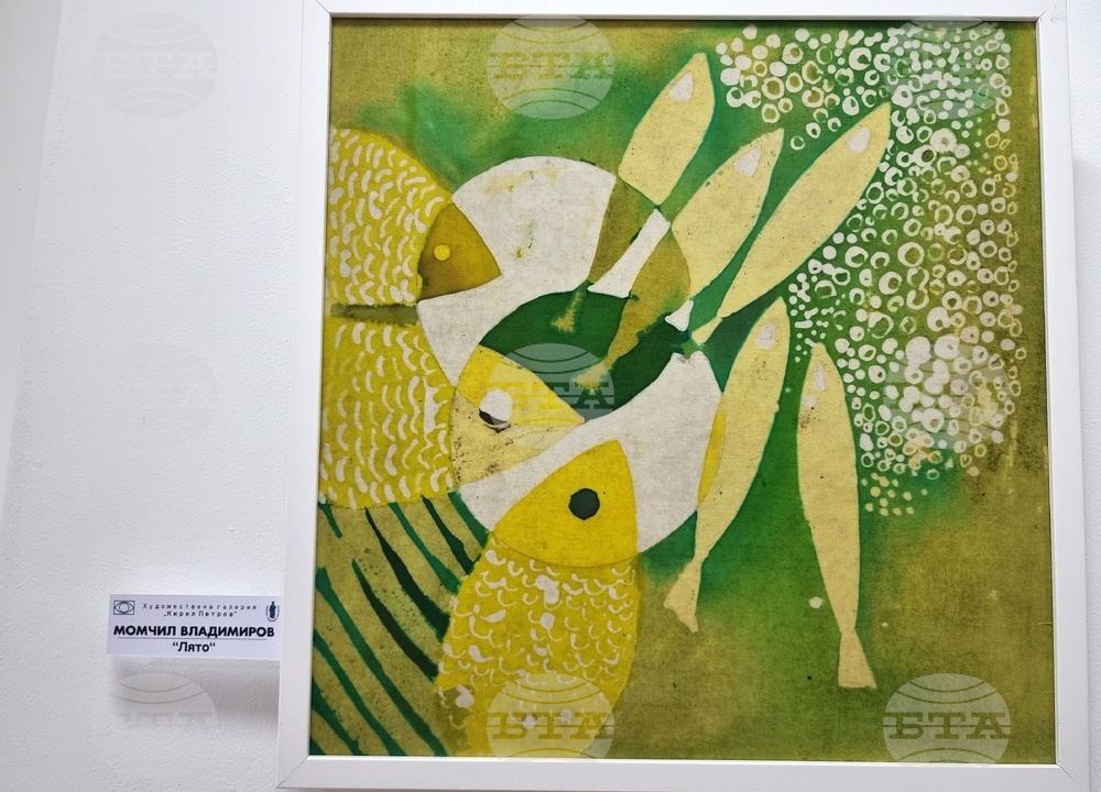 Монтана - Художествена галерия „Кирил Петров“ - изложба