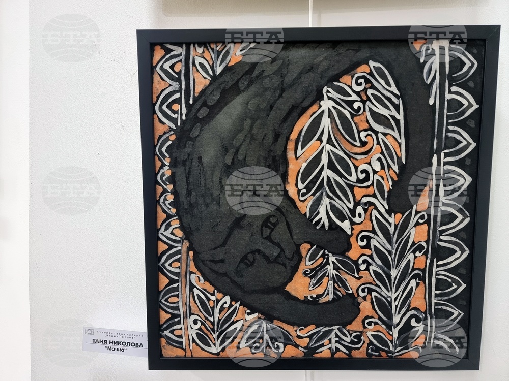 Монтана - Художествена галерия „Кирил Петров“ - изложба