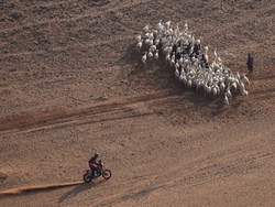 APTOPIX Saudi Arabia Dakar Rally