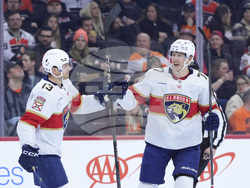 Panthers Flyers Hockey