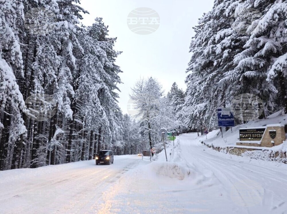 Над 40 машини чистят републиканската пътна мрежа в област Кърджали, пет села са без ток