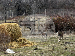 Снимка: Община Варна