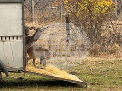 Снимка: Община Варна