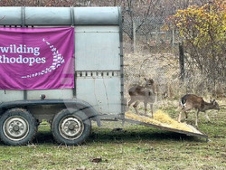 Снимка: Община Варна