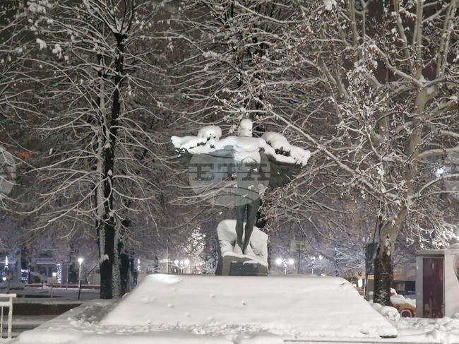 Observances: January 15