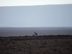 Saudi Arabia Dakar Rally