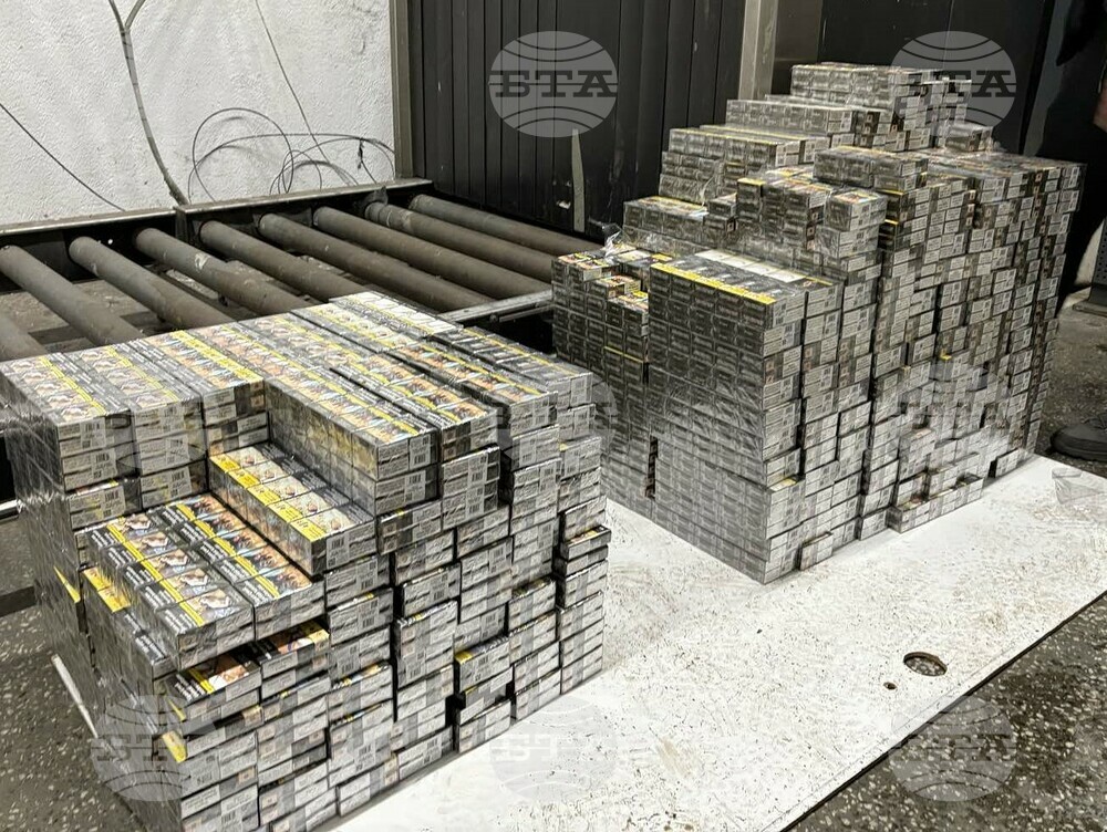 Над 385 000 къса контрабандни цигари, укрити в камион, задържаха митничари на "Капитан Андреево"