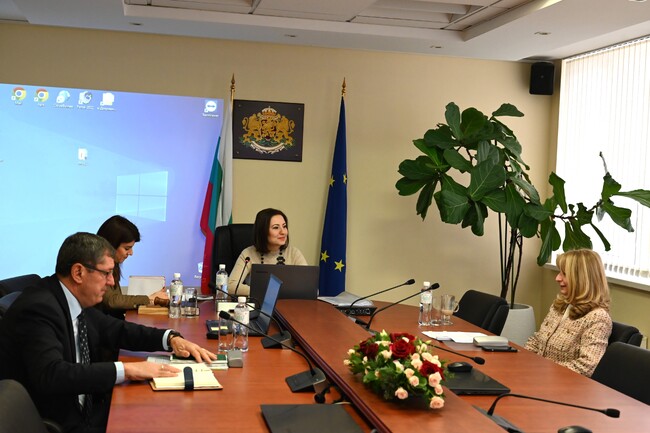 Delay in Absorption of EU Funds Is Problem - European Court of Auditors' Ivanova