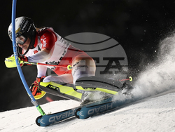 Austria Alpine Skiing World Cup