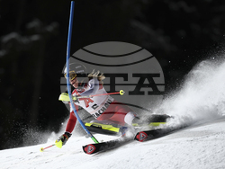 Austria Alpine Skiing World Cup