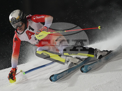 Austria Alpine Skiing World Cup