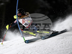 Austria Alpine Skiing World Cup